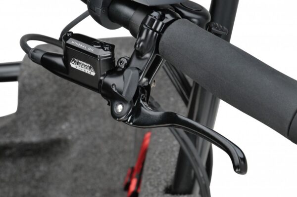 Batavus Fier 3 enviolo - Billede 5